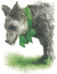 Удивительный волшебник из Страны Оз (Илл.Роберт Ингпен) - i_043.png