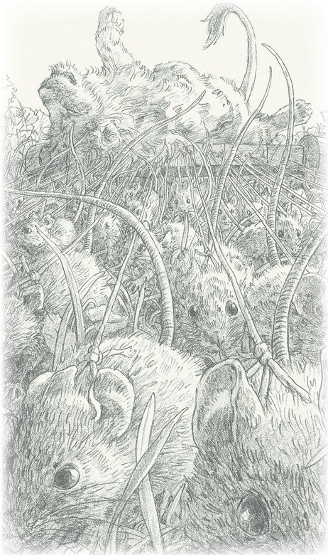 Волшебник страны Оз (Илл. Грег Хильдебрандт)  - i_012.jpg