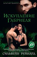 Серия книг Инферно Габриеля
