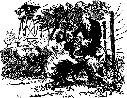 Великое делание, или Удивительная история доктора Меканикуса и его собаки Альмы - i_015.png