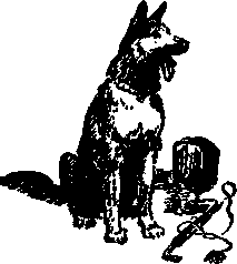 Великое делание, или Удивительная история доктора Меканикуса и его собаки Альмы - i_017.png