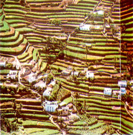 За столпами Геракла - i_004.jpg