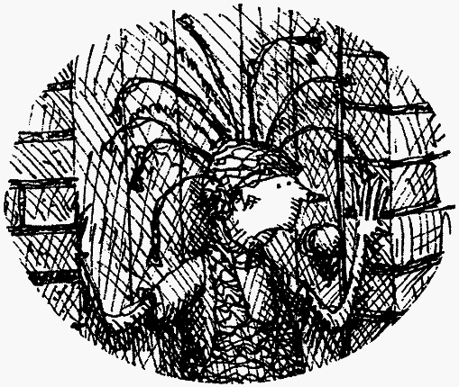 Семейка монстров - _040.png