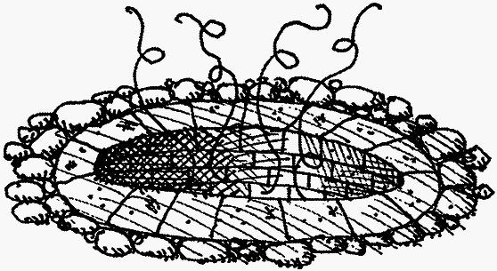 Семейка монстров - _056.png
