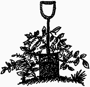 Семейка монстров - _075.png