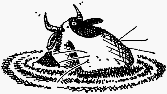 Семейка монстров - _080.png