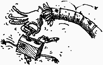 Семейка монстров - _119.png