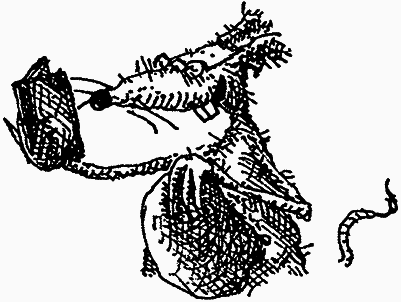 Семейка монстров - _147.png