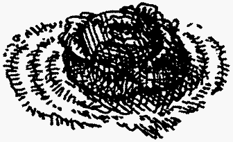 Семейка монстров - _150.png