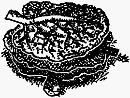 Семейка монстров - _153.png