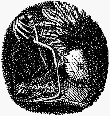 Семейка монстров - _192.png