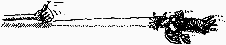 Семейка монстров - _300.png