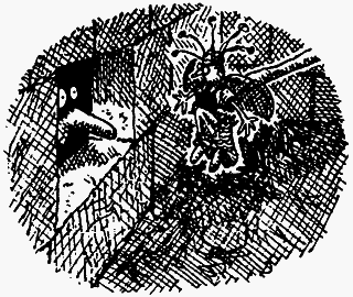 Семейка монстров - _301.png