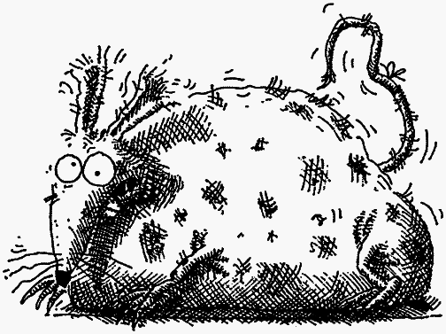 Семейка монстров - _352.png