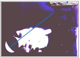 Человек на Луне? Какие доказательства? - i_186.jpg