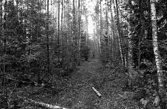 Их послал на смерть Жуков? Гибель армии генерала Ефремова - i_090.jpg