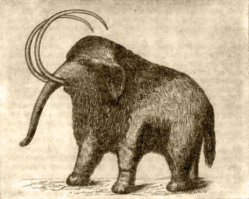 В погоне за тайной века - i_023.jpg