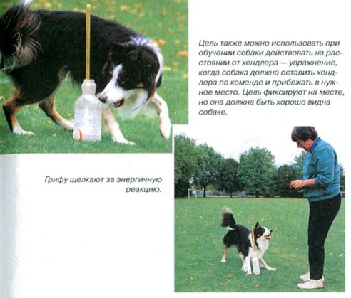 Дрессировка собак с помощью кликера - pic_25.jpg