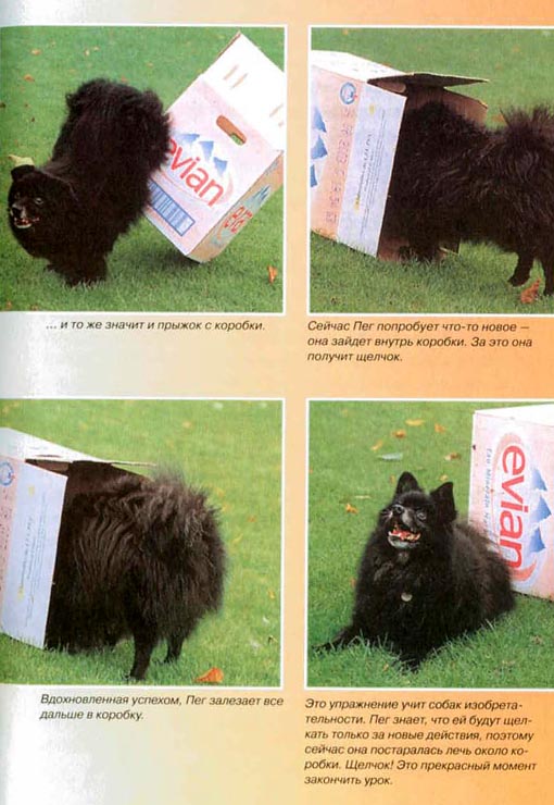 Дрессировка собак с помощью кликера - pic_27.jpg
