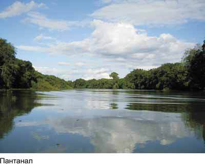 Любов і піраньї - _13.jpg