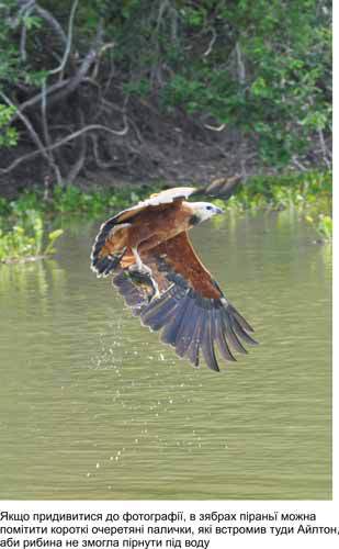 Любов і піраньї - _15.jpg