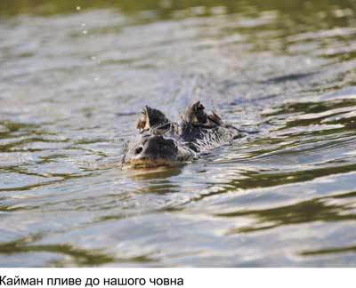 Любов і піраньї - _20.jpg