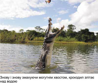 Любов і піраньї - _21.jpg