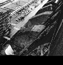 Любов і піраньї - pic_17.png