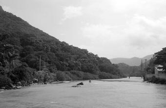 Любов і піраньї - pic_21.jpg