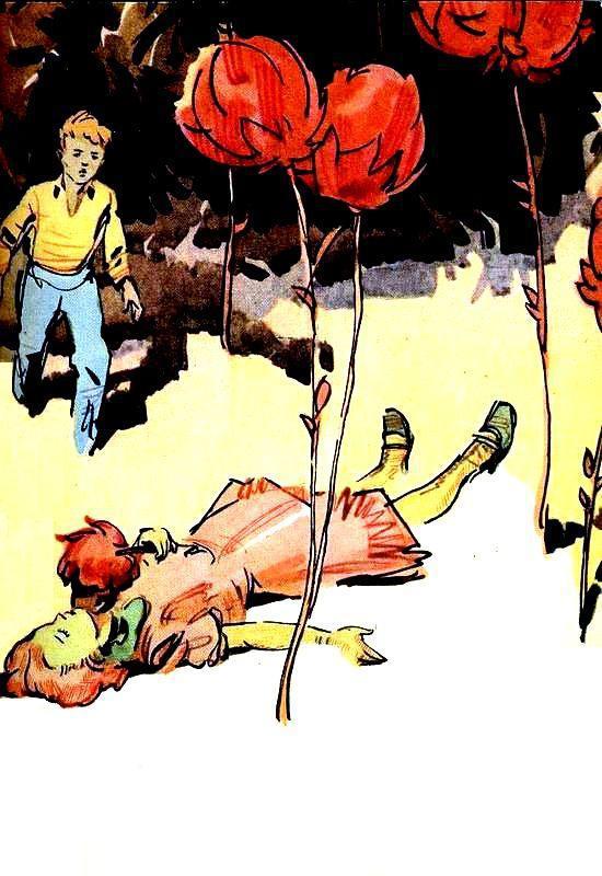 Необыкновенные приключения - pic_10.jpg