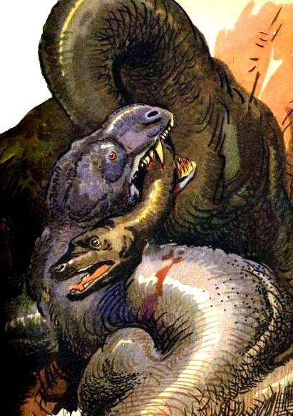 Необыкновенные приключения - pic_12.jpg