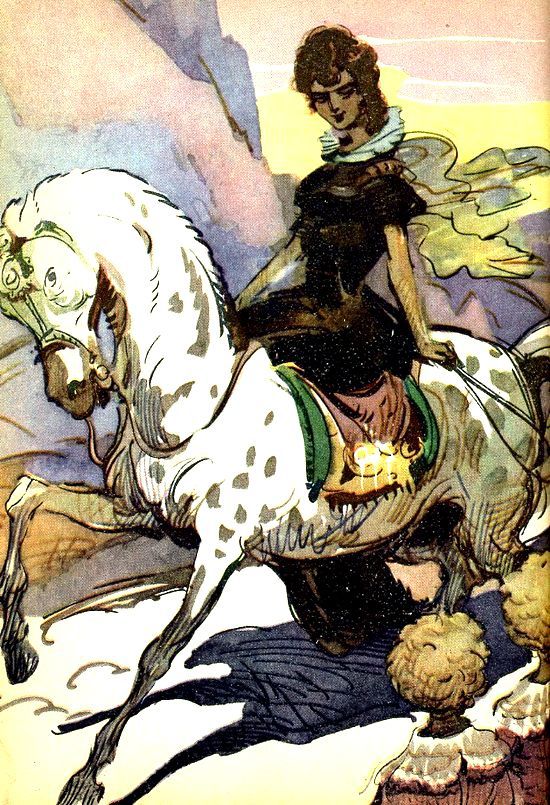 Необыкновенные приключения - pic_33.jpg