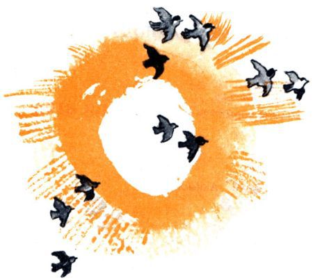 Кто бы мог подумать? - i_018.jpg