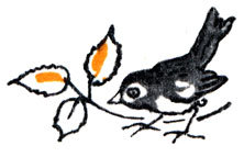 Кто бы мог подумать? - i_024.jpg