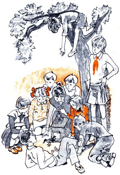 Кто бы мог подумать? - i_042.jpg