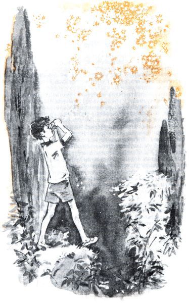 Кто бы мог подумать? - i_066.jpg