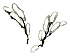 Кто бы мог подумать? - i_096.jpg