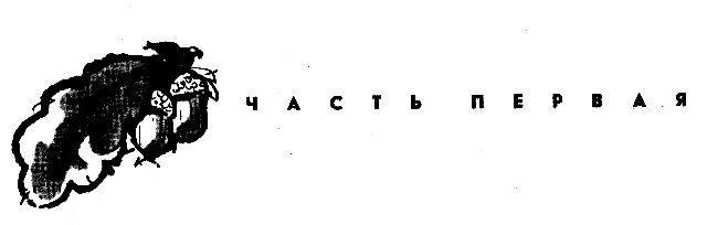 Приключения Кольки Кочерыжкина - pic_3.jpg