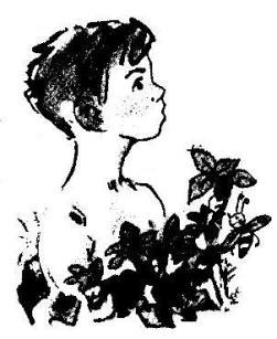 Приключения Кольки Кочерыжкина - pic_6.jpg