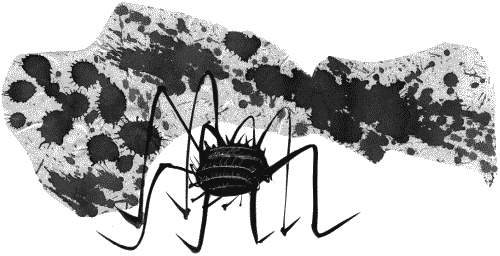 Гимназия №13 - _145.png