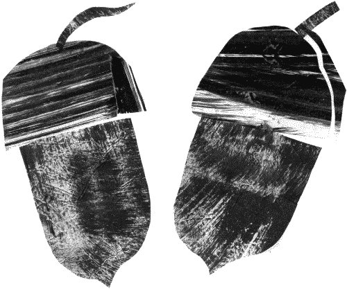 Гимназия №13 - _199.png