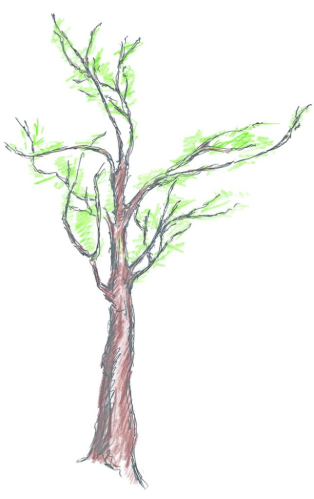 Приключения жирафчика Высика в Стране Баскетболии. Азбука Страны Баскетболии - image26_53e5aec137eca2007a8b4568_jpg.jpeg