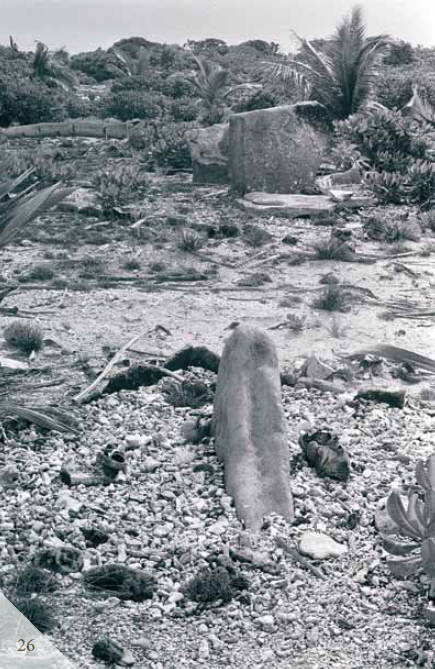 Доказательства существования богов. Более 200 сенсационных фотографий артефактов - i_027.jpg