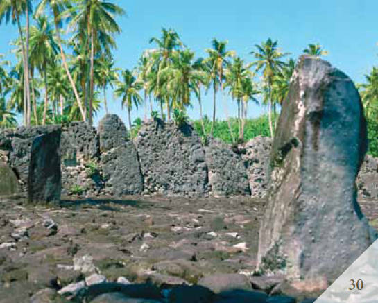 Доказательства существования богов. Более 200 сенсационных фотографий артефактов - i_031.jpg