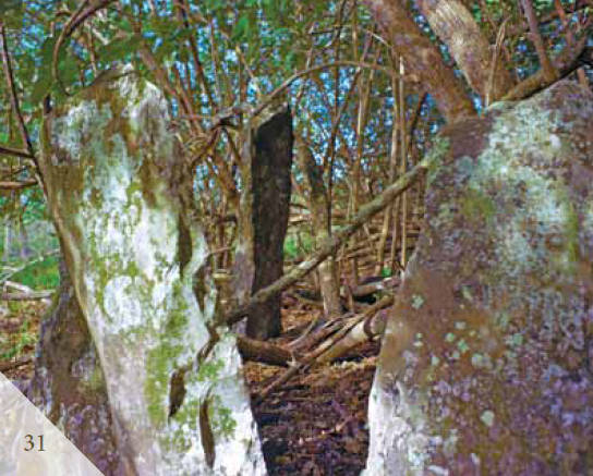 Доказательства существования богов. Более 200 сенсационных фотографий артефактов - i_032.jpg