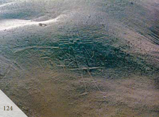 Доказательства существования богов. Более 200 сенсационных фотографий артефактов - i_125.jpg