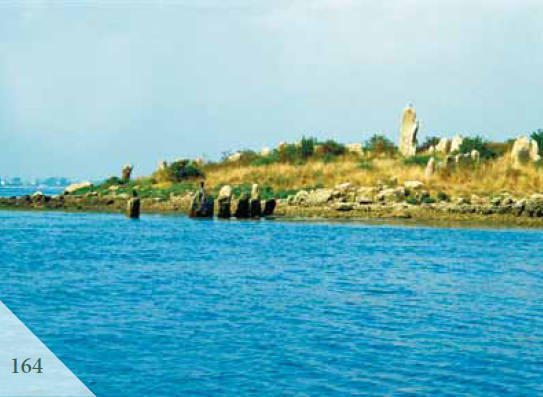 Доказательства существования богов. Более 200 сенсационных фотографий артефактов - i_165.jpg