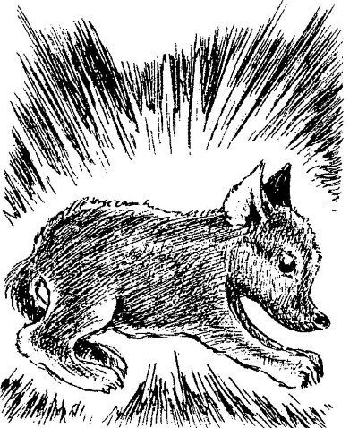 Энциклопедия славянской культуры, письменности и мифологии - i_938.jpg