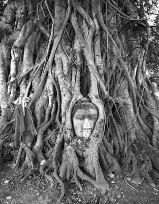 Все тайны подсознания. Энциклопедия практической эзотерики - i_121.jpg