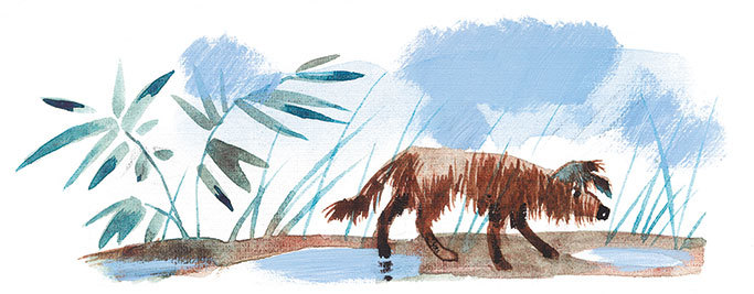 Лекарство от послушности (сборник) - i_024.jpg